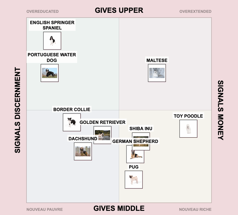 Taste Test Maps Taste Tests