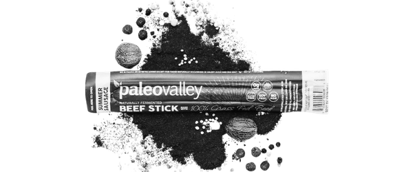 Paleovalley